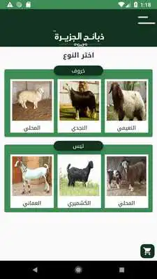Play Zabayeh Al Jazeera