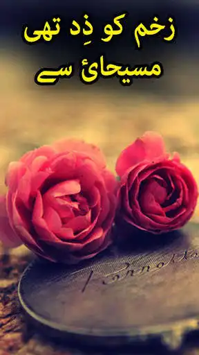 Play Zakham Ko Zid Thi Masehai Se  and enjoy Zakham Ko Zid Thi Masehai Se with UptoPlay