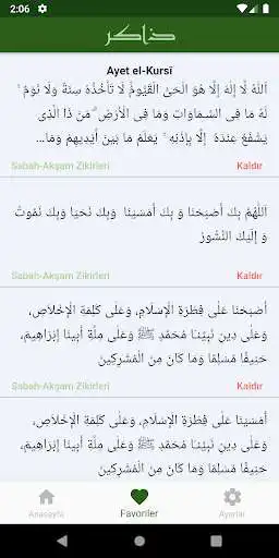 Play Zakir as an online game Zakir with UptoPlay