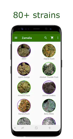 Play Zamalia  and enjoy Zamalia with UptoPlay