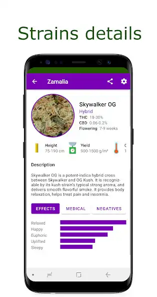Play Zamalia as an online game Zamalia with UptoPlay