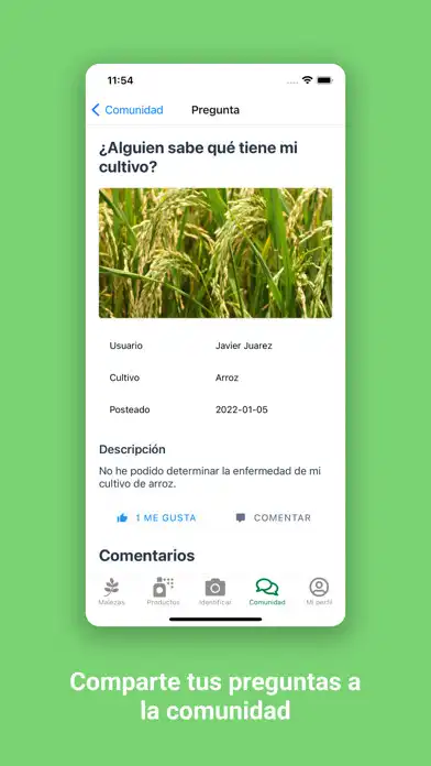 Play ZAMID and enjoy ZAMID with UptoPlay Play ZAMID and enjoy ZAMID with UptoPlay