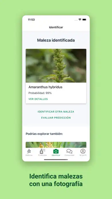 Play ZAMID as an online game online ZAMID with UptoPlay Play ZAMID as an online game ZAMID with UptoPlay