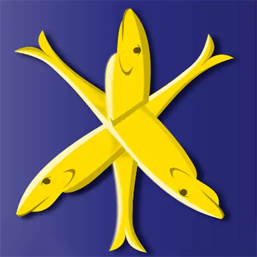 Run free android online Zandvoort app APK Run free android online Zandvoort app APK