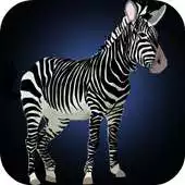 Free play online Zebra Games for Kids APK