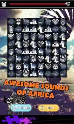 Play Zebra Games for Kids