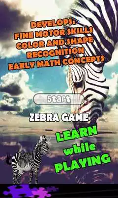 Play Zebra Games for Kids