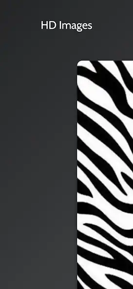 Play Zebra Print Backgrounds as an online game online Zebra Print Backgrounds with UptoPlay Play Zebra Print Backgrounds as an online game Zebra Print Backgrounds with UptoPlay