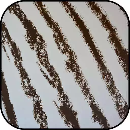 Play Zebra Print Wallpapers APK Play Zebra Print Wallpapers APK