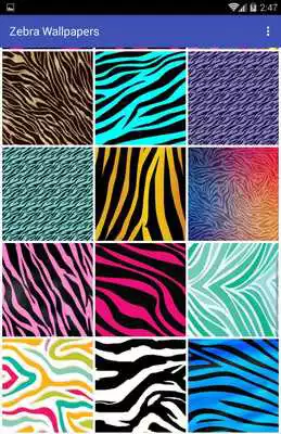 Play Zebra Wallpapers