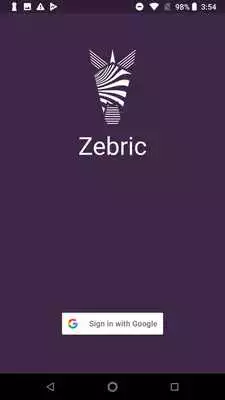 Play Zebric