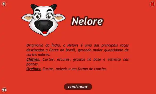 Play Zebuzim Play Zebuzim