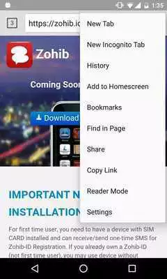 Play Zeebrow