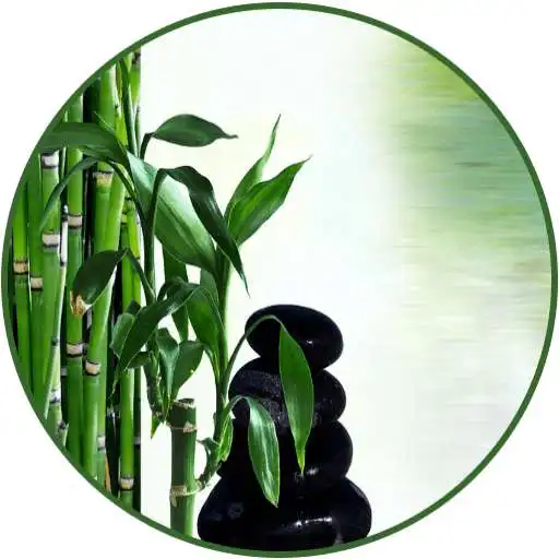 Free play online Zen Bowls : Calmness Mindfulness & Anti Stress APK Free play online Zen Bowls : Calmness Mindfulness & Anti Stress APK