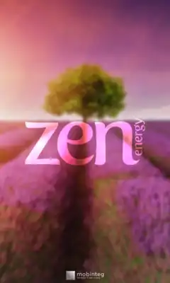 Play Zen Energy Play Zen Energy