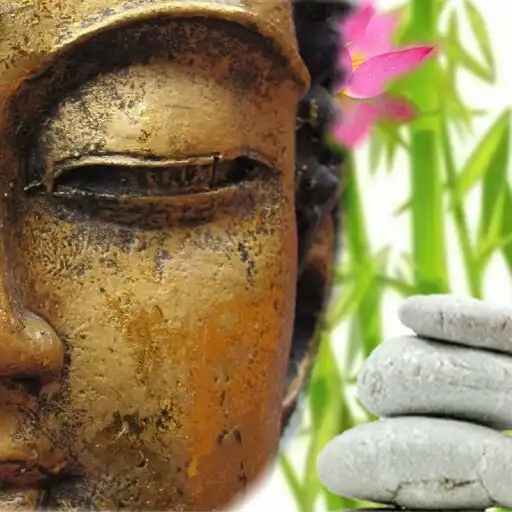 Play Zen Imágenes Fondos y Frases APK