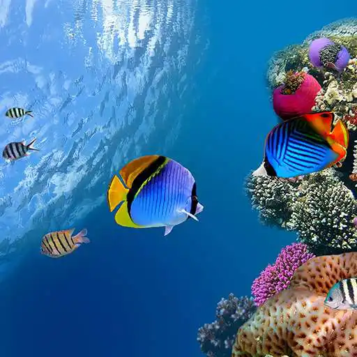 Free play online Zen Ocean Relax Wallpaper  APK
