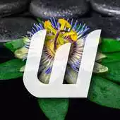 Free play online Zen Wallpaper Collection APK Free play online Zen Wallpaper Collection APK