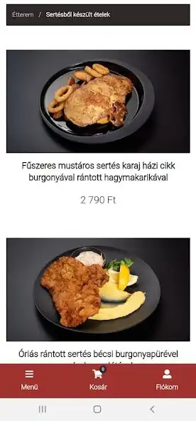 Play Zero bistro  and enjoy Zero bistro with UptoPlay