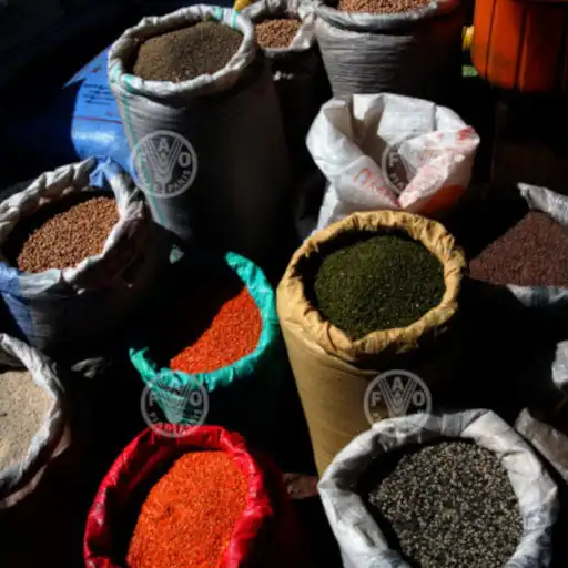 Play ZIAMIS ATC Redeeming APK