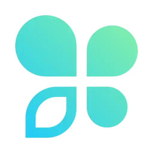 Play Zidy APK