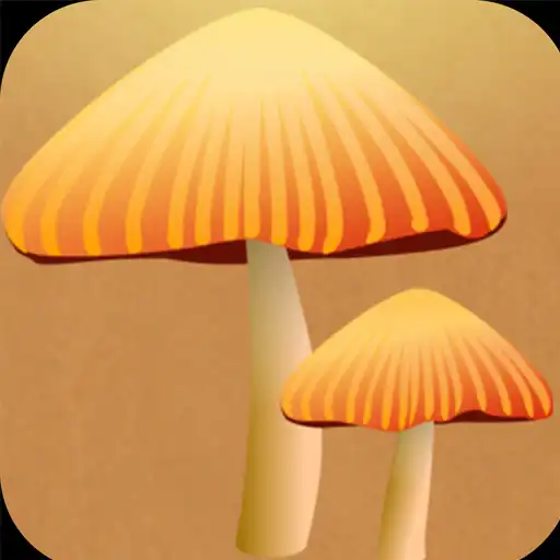 Play Ziggypop APK Play Ziggypop APK