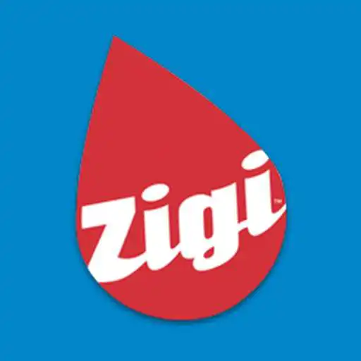 Play Zigi Gas APK