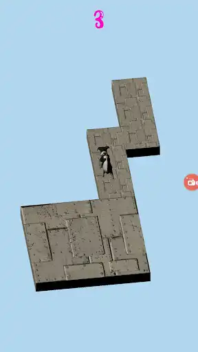 Play Zig Zag Dog Running and enjoy Zig Zag Dog Running with UptoPlay Play Zig Zag Dog Running and enjoy Zig Zag Dog Running with UptoPlay