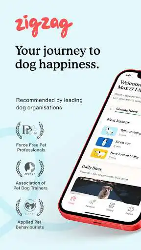 Play Zigzag Puppy Training App  and enjoy Zigzag Puppy Training App with UptoPlay