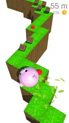 Play Zig Zag Rolling Panda