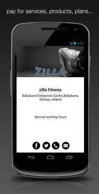 Play Zilla Fitness Play Zilla Fitness