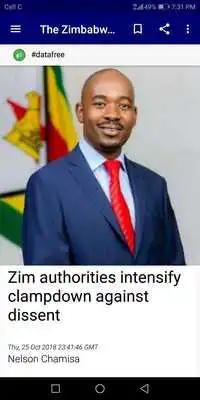 Play Zim News