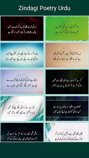 Play Zindagi Shayari Urdu - زندگی اردو شاعری as an online game Zindagi Shayari Urdu - زندگی اردو شاعری with UptoPlay