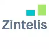 Free play online Zintelis APK