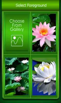 Play Zipper Lock Screen Lotus
