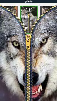 Play Zipper Lock Screen Wolf Play Zipper Lock Screen Wolf