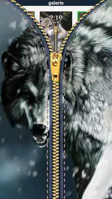 Play Zipper Lock Screen Wolf Play Zipper Lock Screen Wolf