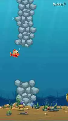 Play Zippy Fins