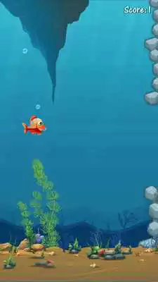 Play Zippy Fins