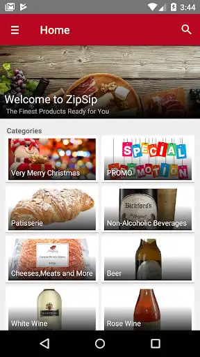 Play ZipSip