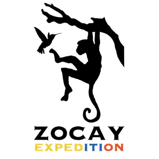 Play ZOCAY Expedition APK Play ZOCAY Expedition APK