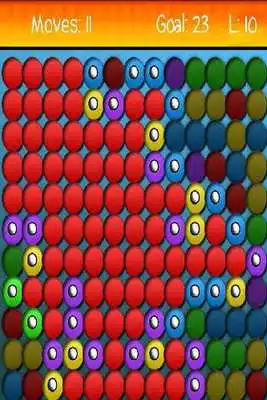 Play ZodoLex