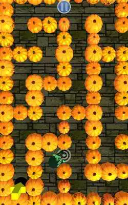Play Zombie Pumpkin Maze Play Zombie Pumpkin Maze