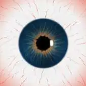 Free play online ZomCubes APK