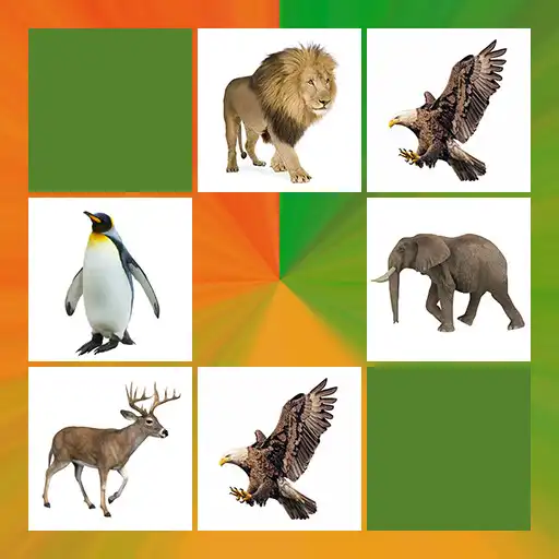 Play Zoo Animal Games Picture Game APK