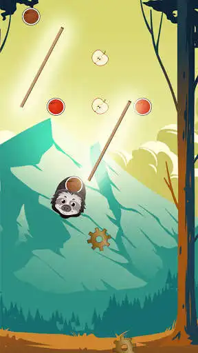 Play Zoo Animal Jump  and enjoy Zoo Animal Jump with UptoPlay