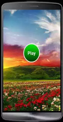 Play Zoo Animal match