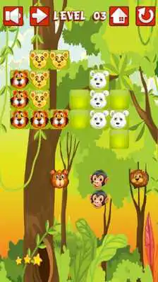 Play Zoo Block Puzzle For Kids