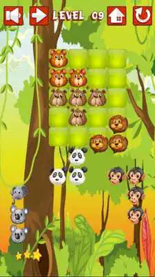 Play Zoo Block Puzzle For Kids
