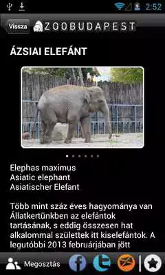 Play ZOOBUDAPEST